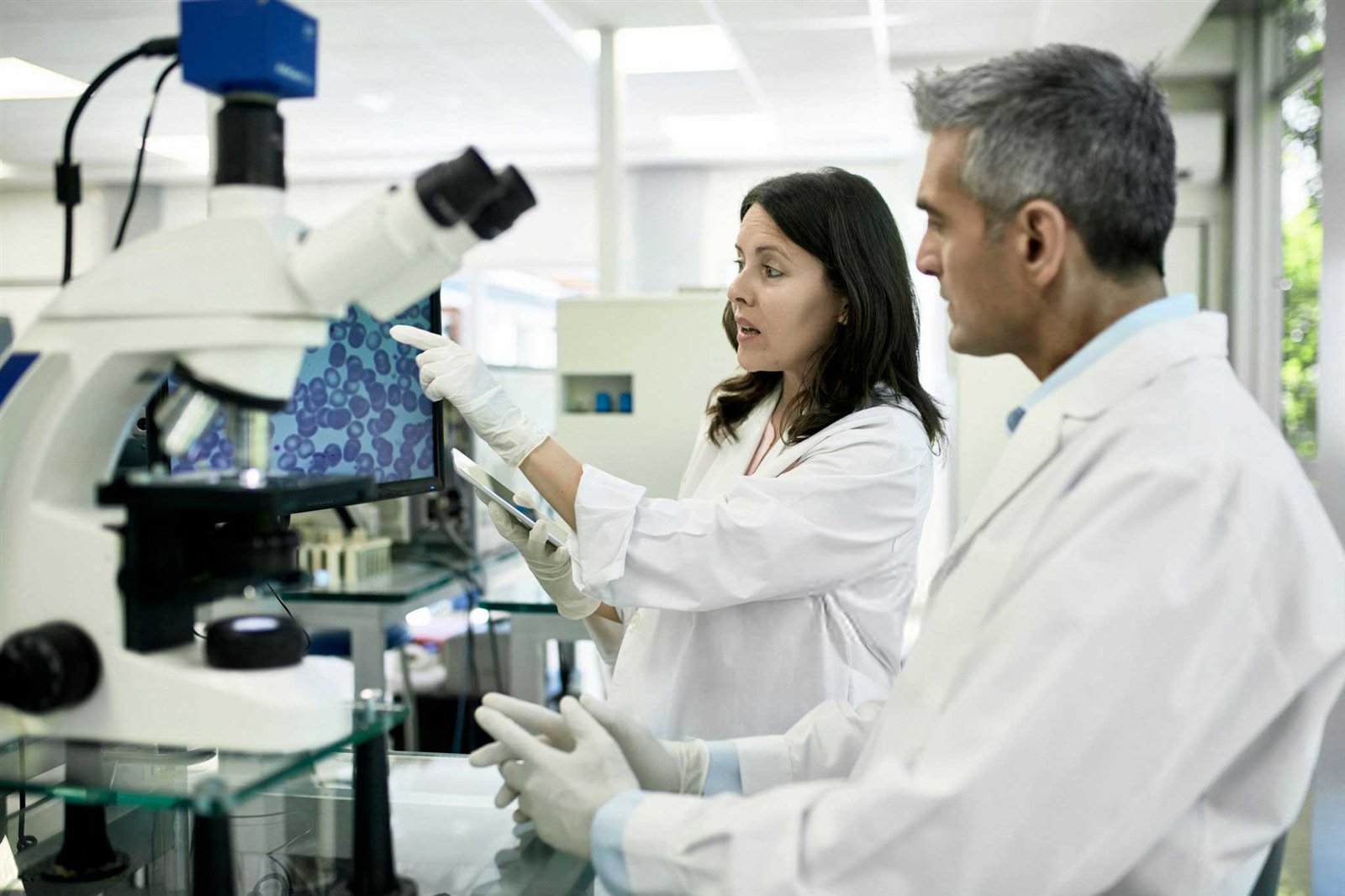Microscopio utilizado en análisis clínico